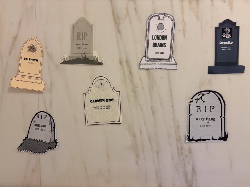 Seven paper gravestone cutouts with various names and phrases are arranged on a marble wall, resembling a mock cemetery or memorial display.