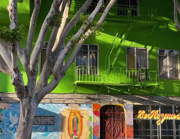 A bright green building with fire escape balconies, a mural of the Virgin of Guadalupe, and a tree casting shadows in front.