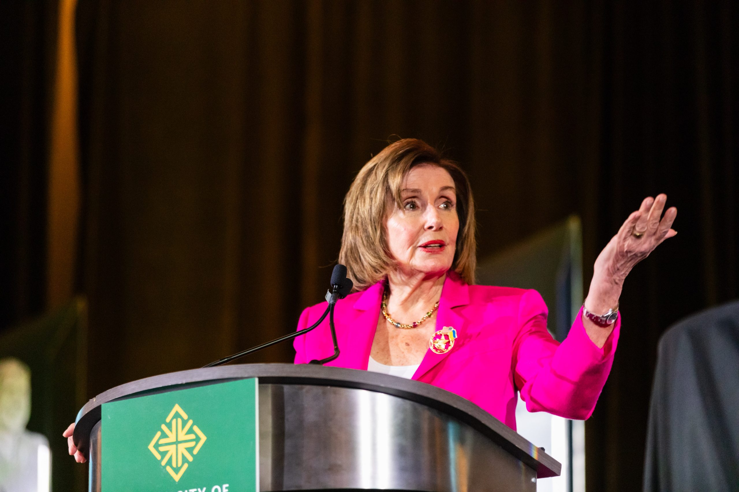 Nancy Pelosi can be succeeded. She cannot be replaced.