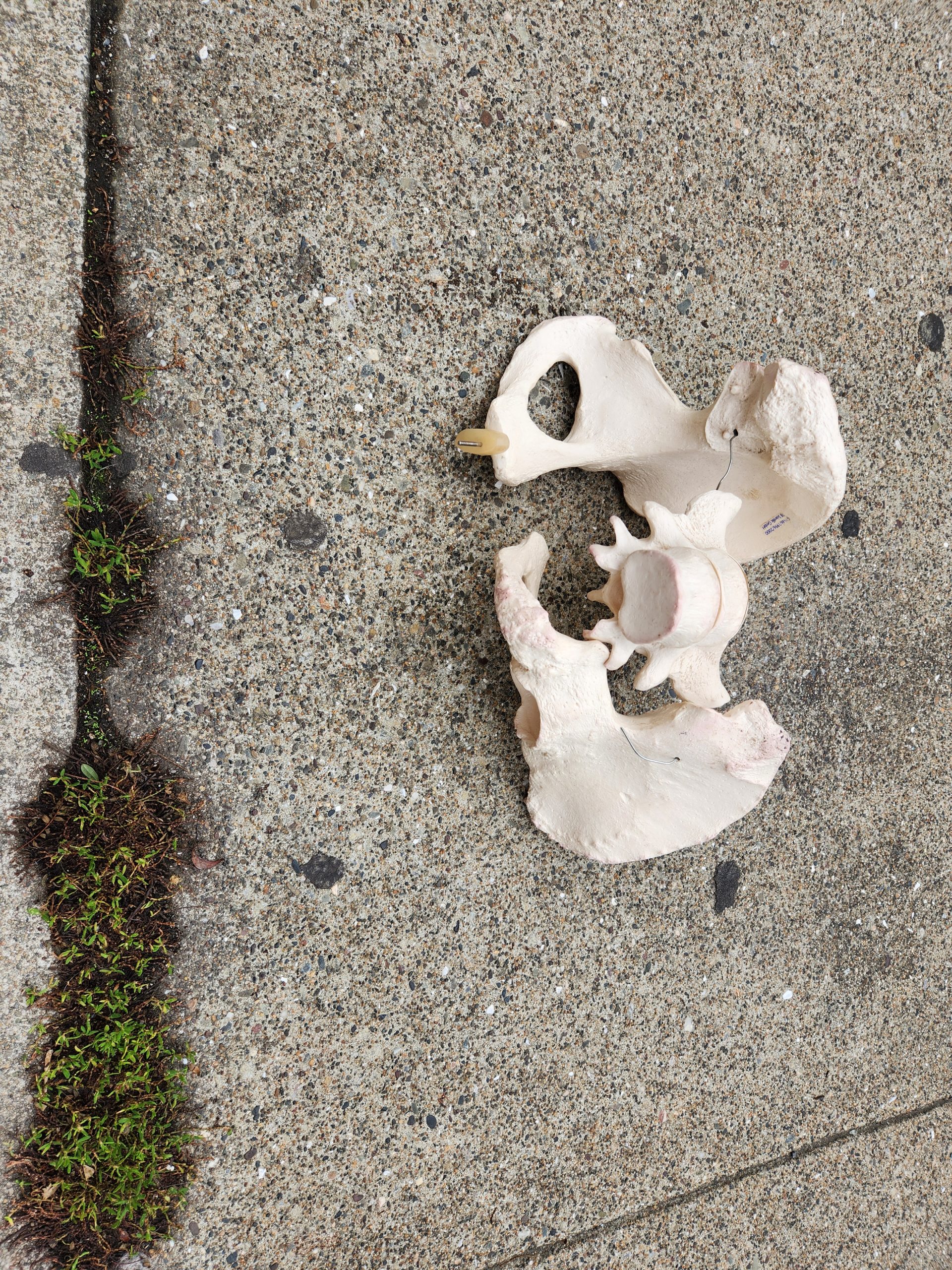 What a hip neighborhood