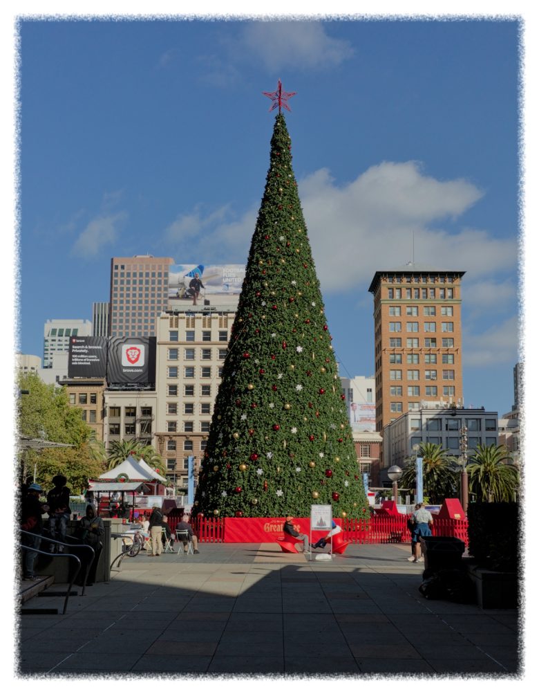 A large decorated Christmas tree stands in a city square with buildings and a blue sky in the background. People are gathered around the base of the tree.