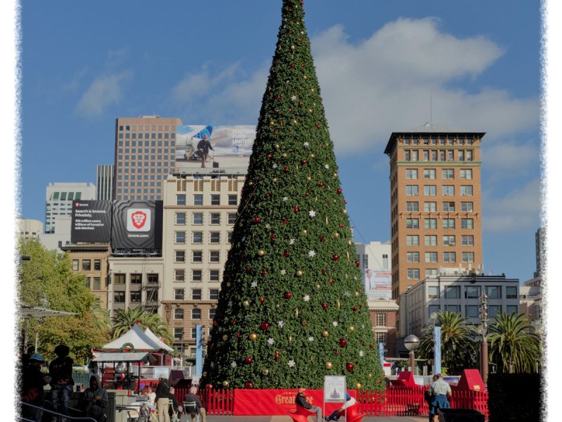 A large decorated Christmas tree stands in a city square with buildings and a blue sky in the background. People are gathered around the base of the tree.