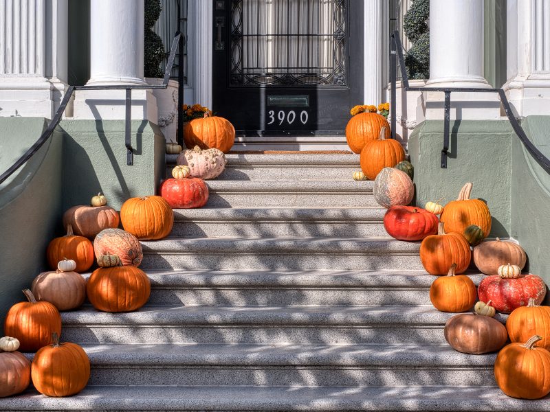 A variety of pumpkins and gourds decorate the steps leading to a black door numbered 3900, flanked by white columns and green railings.