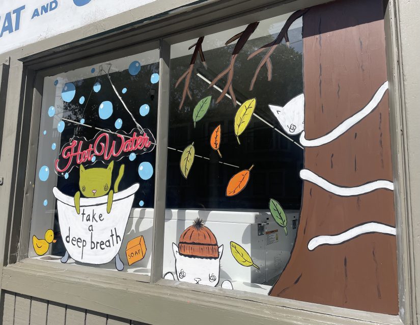 A window painting shows a green cat in a bathtub with "Hot Water" and "take a deep breath" written, surrounded by bubbles, leaves, and other animals, including a bird and two white cats.