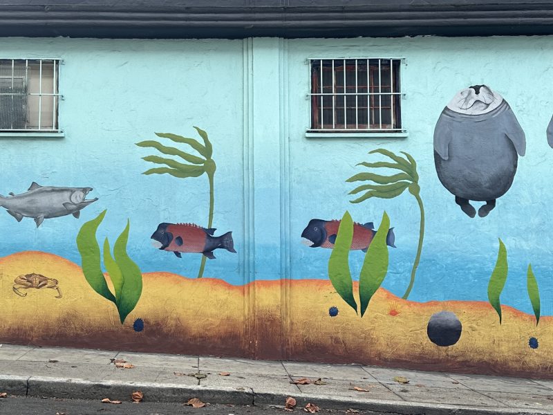 Street mural depicting an underwater scene with two manatees, three fish, a crab, seaweed, and rocks painted below two barred windows.
