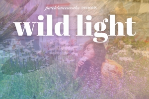 A woman sits in a meadow of wildflowers, holding flowers near her face, with the text "patelladanceworks presents wild light" overlaid on the image.