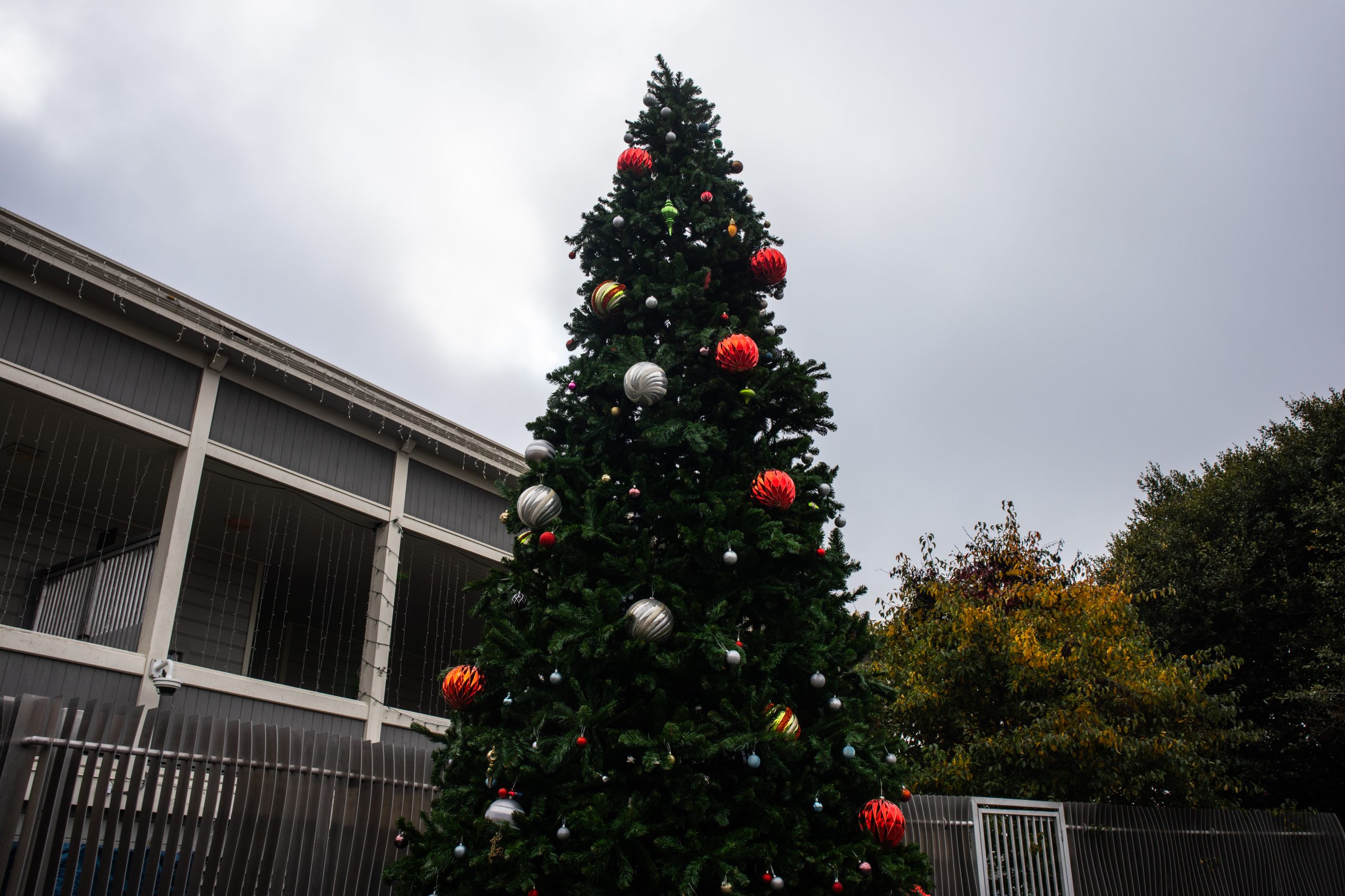 Bayview Buzz: Free merch, murals and holiday cheer