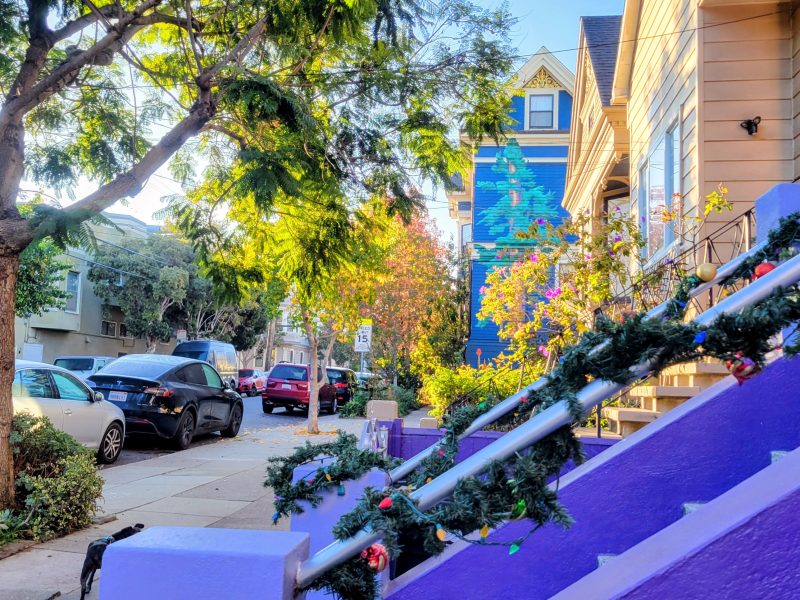 Purple stairs decorated with garland lead to a house; cars are parked along a tree-lined street under bright sunlight.