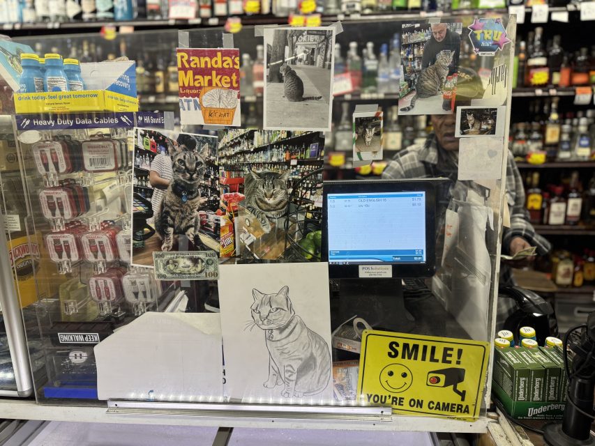 A man standing behind a glass display with pictures of cats.