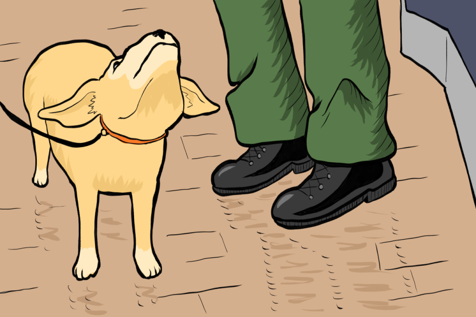A small yellow dog on a leash tilts its head upward beside a person wearing green pants and black shoes on a paved surface.