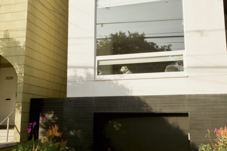 A dog sits on a windowsill inside a modern house, looking out through a large front window above a black garage door.