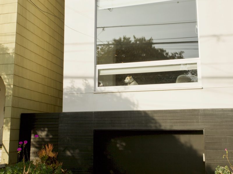 A small dog sits behind a partially open window on the second floor of a modern house, looking outside.