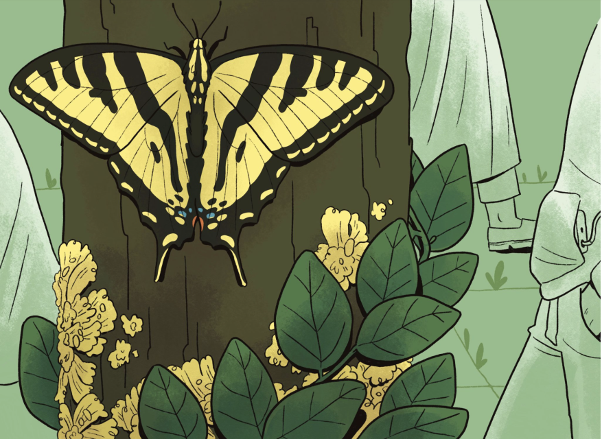 A favorite yellow and black butterfly rests on a tree trunk surrounded by green leaves and yellow flowers, with people walking by in the background.