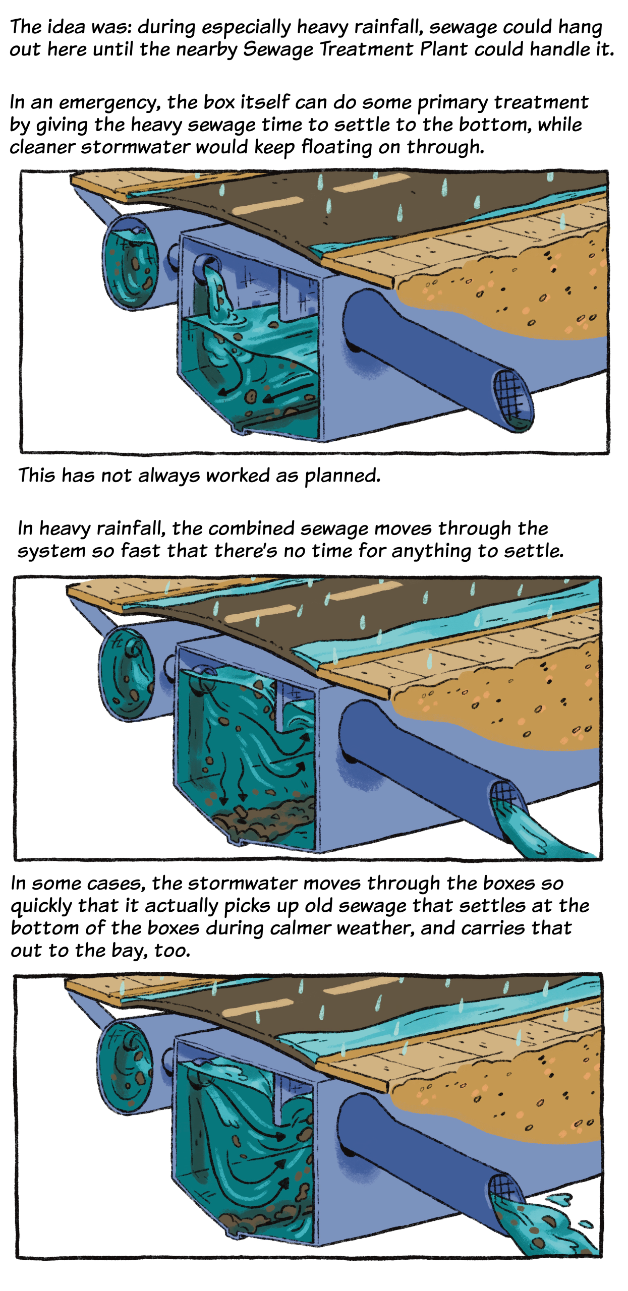 A diagram shows how stormwater and sewage mix in sewer boxes during heavy rainfall, causing untreated sewage to flow out with stormwater instead of settling.