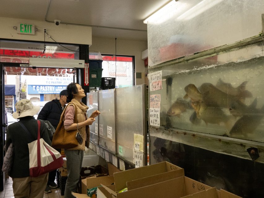 A woman looks at live seafood in a large tank inside a market, while other customers stand nearby and handwritten signs display prices.