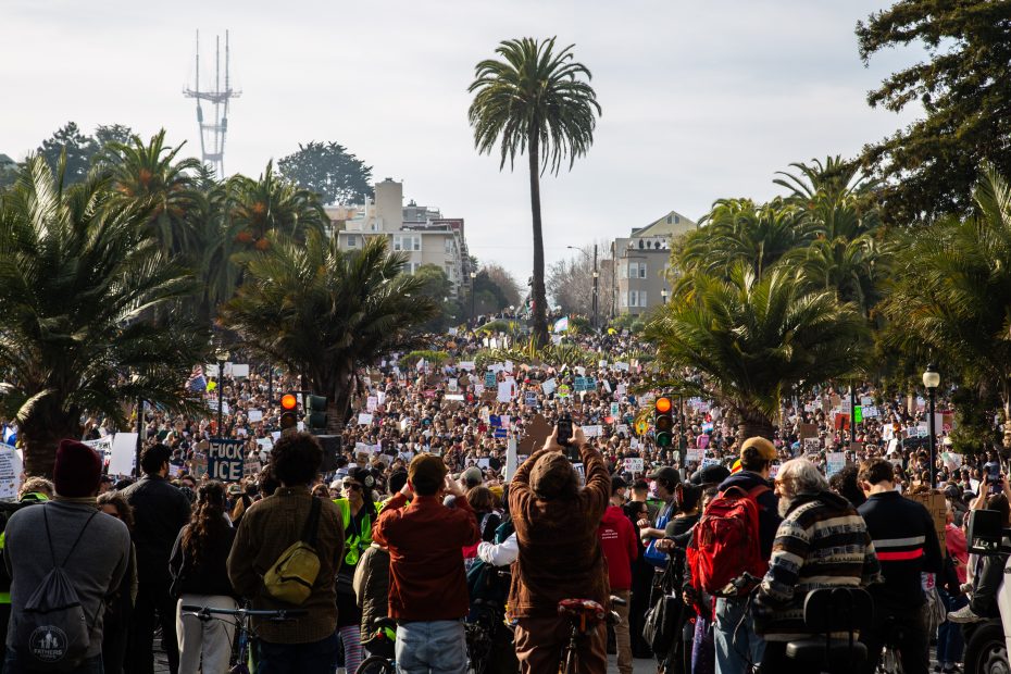 A large crowd gathers in a city park holding protest signs, surrounded by palm trees and residential buildings under a cloudy sky.