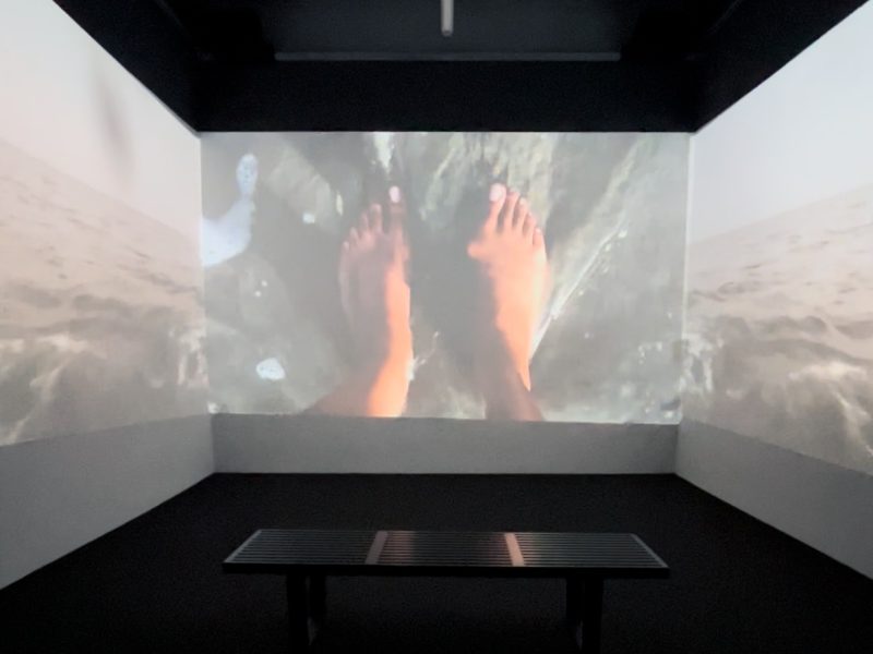 What’s on now at San Francisco museums, February 2026