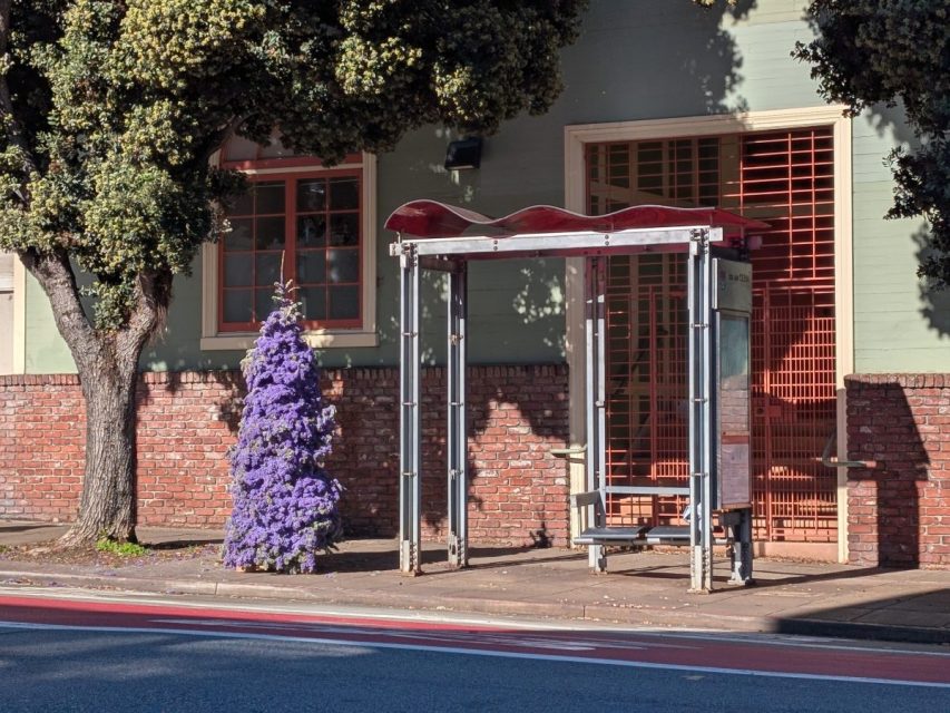 A bus stop with a red roof next to a small tree covered in purple flowers, set against a brick wall and a green building.
