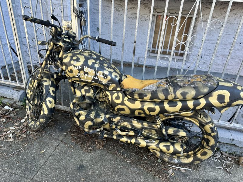 A worn motorcycle painted with a yellow and black leopard print pattern is parked on a sidewalk next to a metal fence. The words “The Berkeley Leopard” are written on the gas tank.