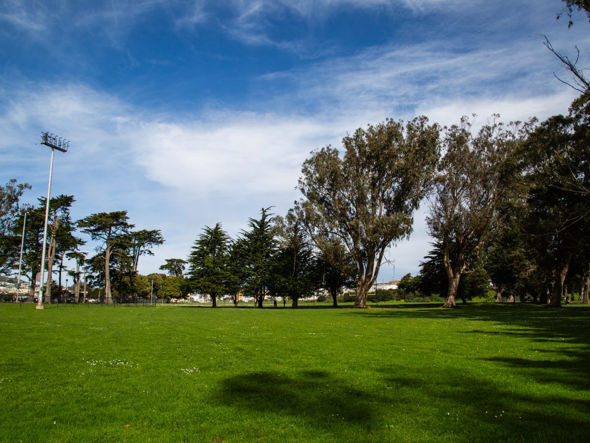 Crocker Amazon turf war moves on to the Supes 