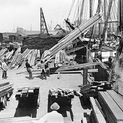 Workers move and organize large stacks of lumber at a busy dockyard with ships and cranes in the background.