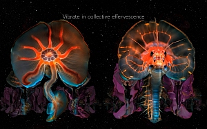 Two bioluminescent jellyfish with vivid orange and blue highlights float against a dark background; text above reads, "Vibrate in collective effervescence.