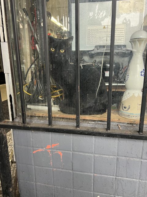 A black cat sits behind metal bars in a window display with electronic equipment and a white decorative vase.