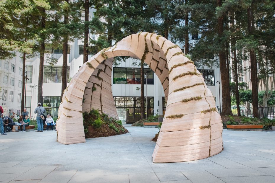 A large, curved wooden sculpture with visible layers stands in an outdoor plaza, surrounded by trees and modern buildings.