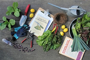 Gardening tools, gloves, seedlings, vegetables, a watering can, lemons, gardening books, clipboard, seeds, and a bird’s nest arranged on a wooden surface.