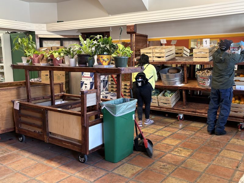 Two people select produce from wooden shelves at an indoor market or food pantry; potted plants sit on a nearby cart, and a green trash bin is visible in the center.