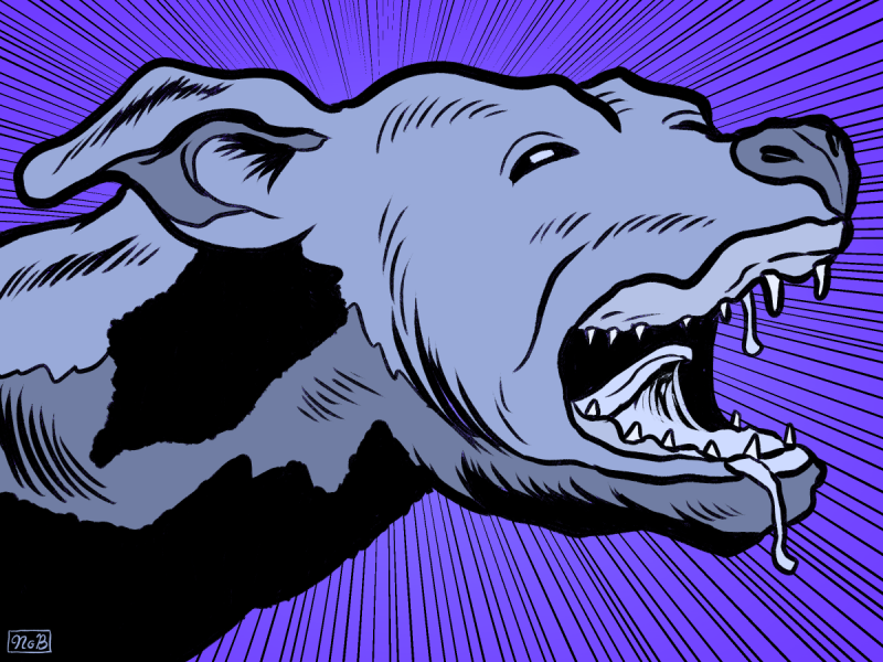 Illustration of a snarling dog with bared teeth and drool against a purple background with radiating lines.