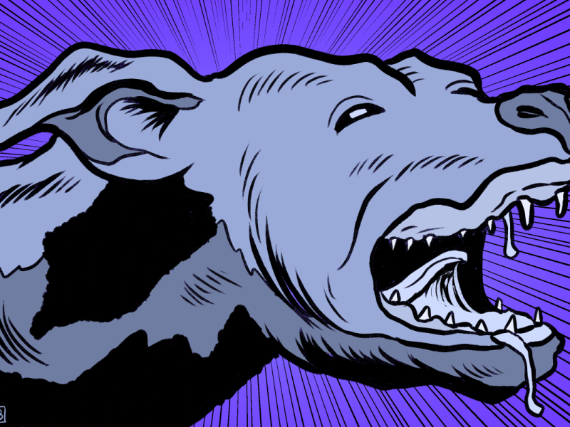 Dog bites in S.F. are rising. But in the Tenderloin, they’re skyrocketing.