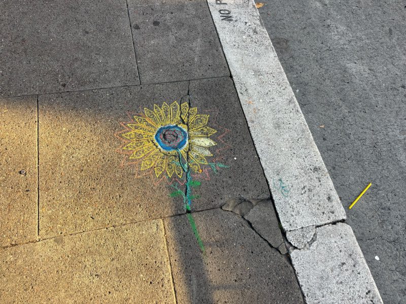 A sunflower is drawn with colored chalk on a cracked sidewalk next to a curb.