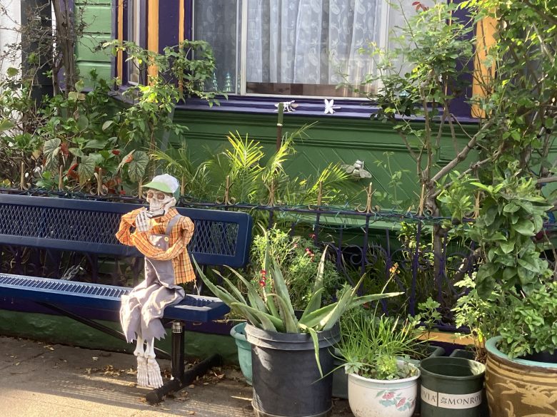 A skeleton dressed in a plaid shirt and green hat sits on a blue bench in a garden, surrounded by plants and pots in front of a green house.