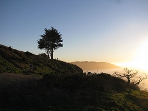 A tree stands near the edge of a grassy hill at sunset, with distant hills and a hazy sky in the background.