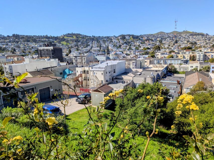 View of a residential neighborhood with houses, greenery, parked cars, and hills in the background under a clear blue sky. Yellow flowers are visible in the foreground.