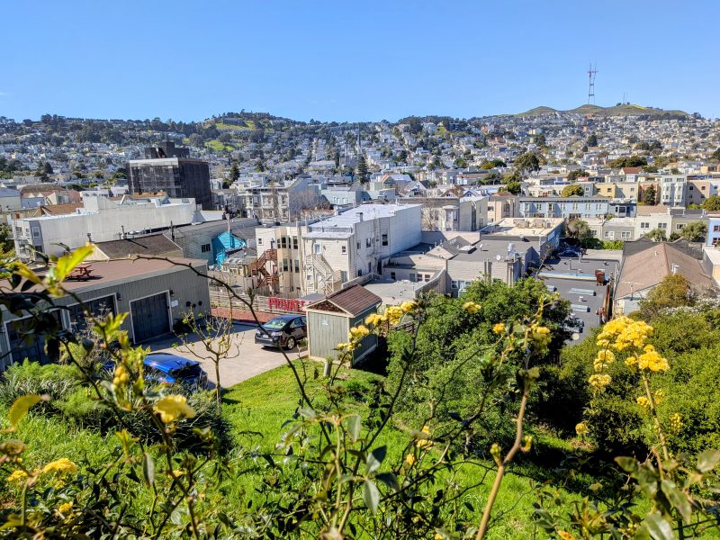 View of a residential neighborhood on a hillside with yellow flowers in the foreground and houses spreading up the hill under a clear blue sky.