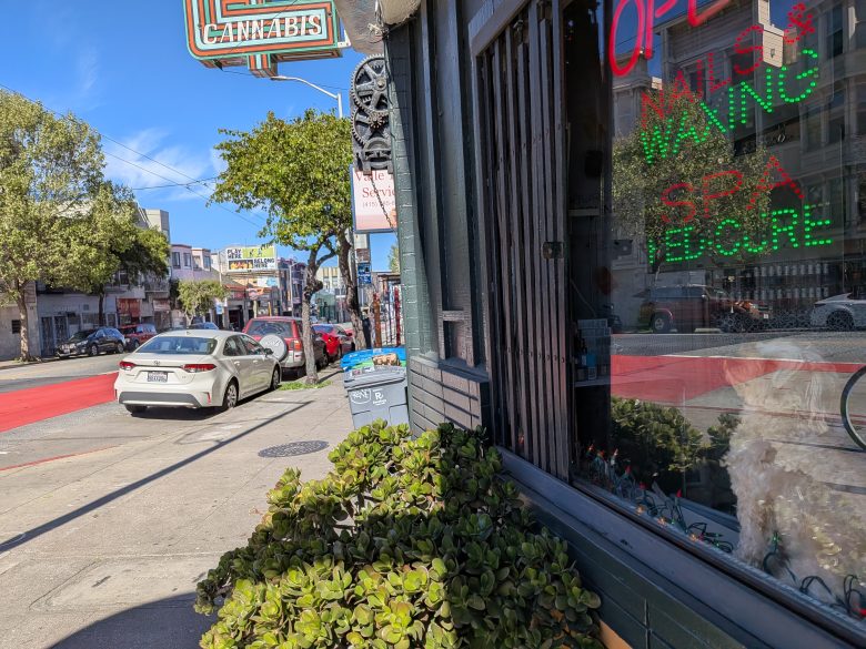 City street scene with parked cars, a "Cannabis" shop sign, neon signs for nails and waxing in a storefront window, and a large potted plant in the foreground.