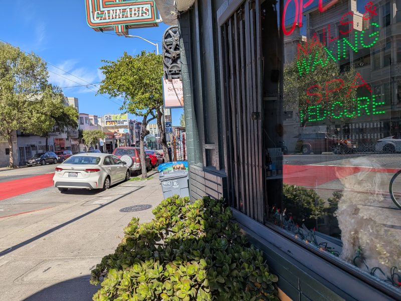 City street scene with parked cars, a "Cannabis" shop sign, neon signs for nails and waxing in a storefront window, and a large potted plant in the foreground.