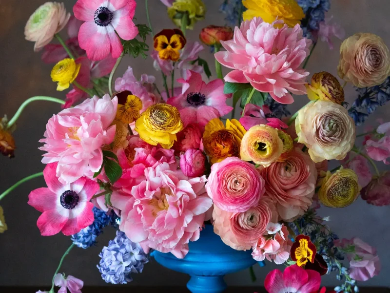 What’s on now at San Francisco museums, March 2026