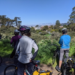 Four cyclists wearing helmets and outdoor gear stand with their bikes on a path, looking out over a green landscape with trees and distant buildings under a clear blue sky.