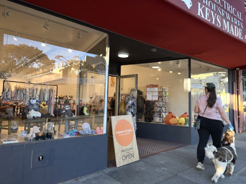 A woman walks a dog past a storefront displaying plush toys, clothes, and a sign that reads “Welcome Open” on the sidewalk.