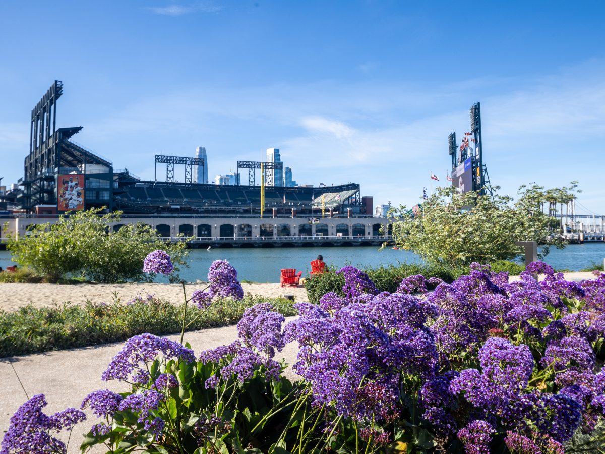 Tale of two neighborhoods: SoMa sales slide as Mission Bay’s grow