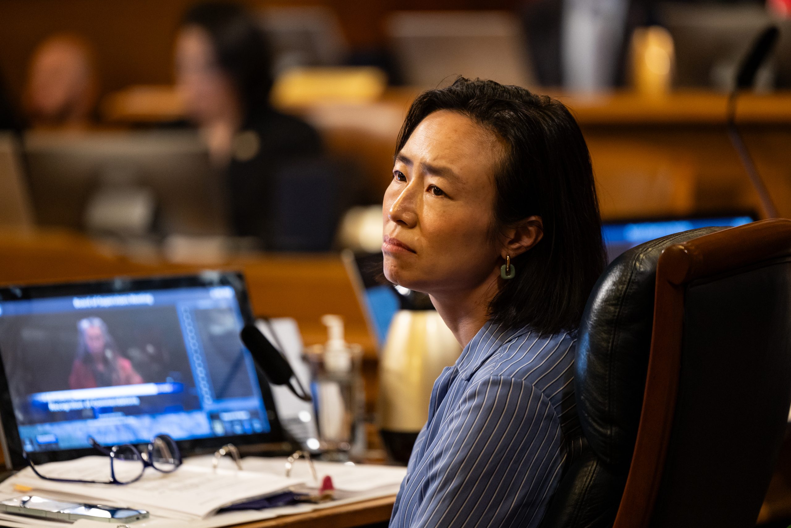 Nancy Pelosi endorses Connie Chan for Congress