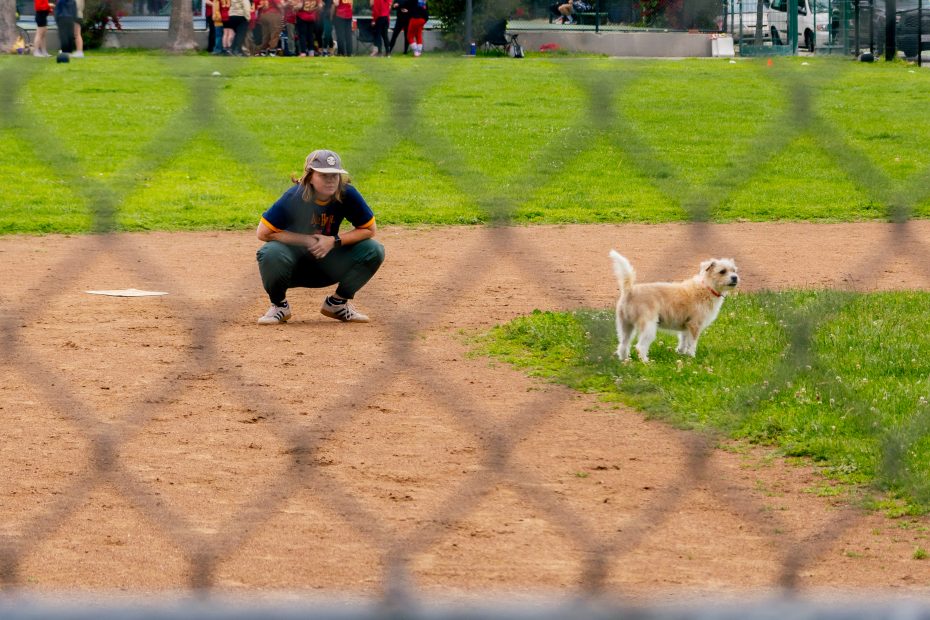 A person squats on a baseball field near a small dog, with a chain-link fence in the foreground and people gathered in the background.