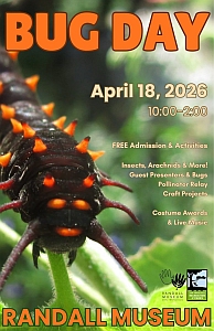 Close-up of a spiky black and orange caterpillar with event details for Bug Day at Randall Museum on April 18, 2026, including free admission and activities.