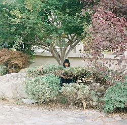 A person wearing a dark hat sits partially hidden among bushes and rocks beneath a tree in a garden area.