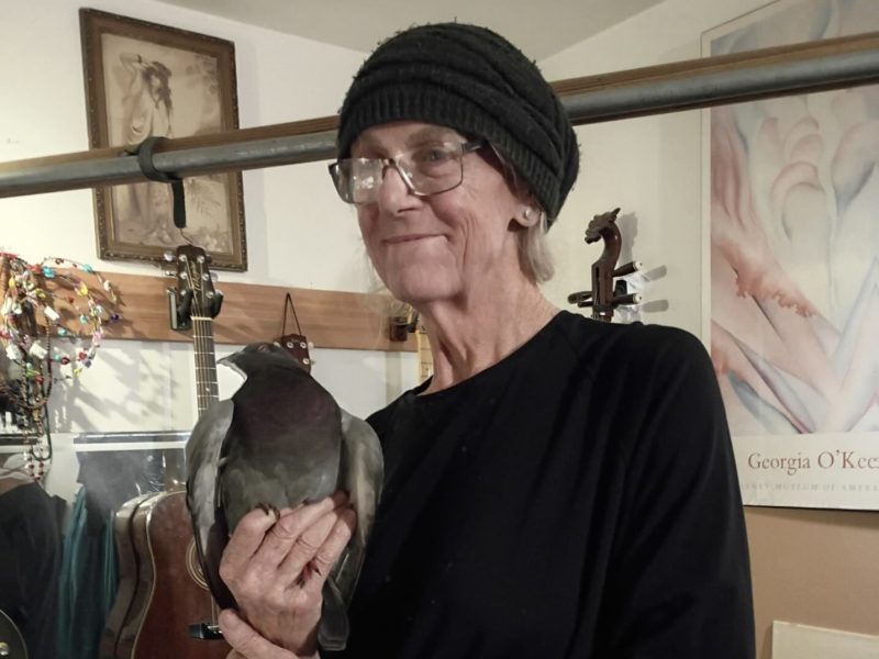 An older person wearing glasses and a knit hat holds a pigeon indoors, with guitars and art posters visible in the background.