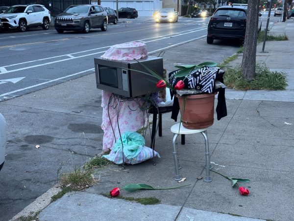A microwave, covered items, and a potted plant sit on two chairs at a sidewalk curb, with artificial red tulips scattered around. Cars and buildings line the street in the background.