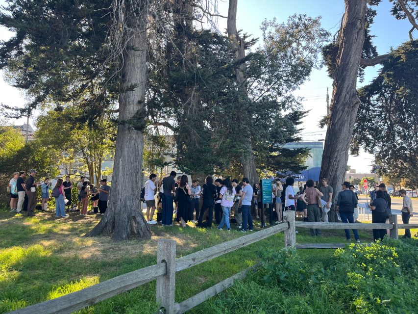 A group of people stand in a long line outdoors beside tall trees and a wooden fence on a sunny day.